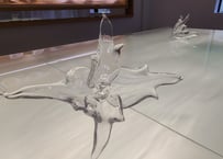 吉田謙也 Kenya Yoshida / 光の花Ⅳ
