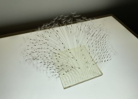 青沼優介　Melting focus 00