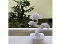 青沼優介 粋は生成できるか？ 盆栽 #9 | Yusuke Aonuma Can "iki" Be Generated? Bonsai #9