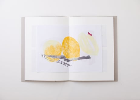 北林加奈子作品集　"note_1" /Art book" note_1"  by Kanako Kitabayashi