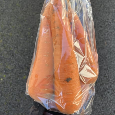 にんじん