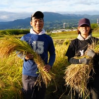 こしひかり 白米　5㎏