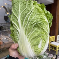 ミニ白菜