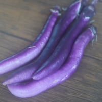 ひもなす