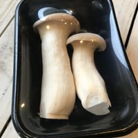 白あわび茸
