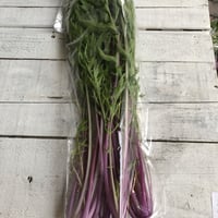赤水菜