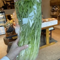 水菜