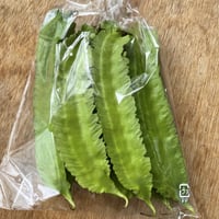 しかく豆