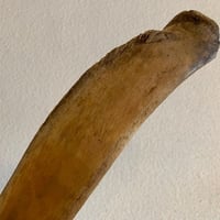 愛犬のためのビーフボーン（大）1本
