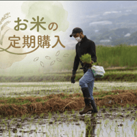 【定期購入/2026】にこまる玄米 5kg  毎月お届け