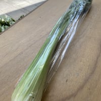 セロリ