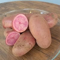 じゃがいも ノーザンルビー