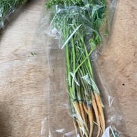 スティックにんじん