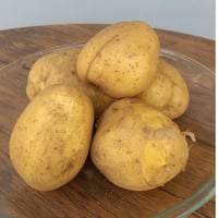 じゃがいも　長崎こがね
