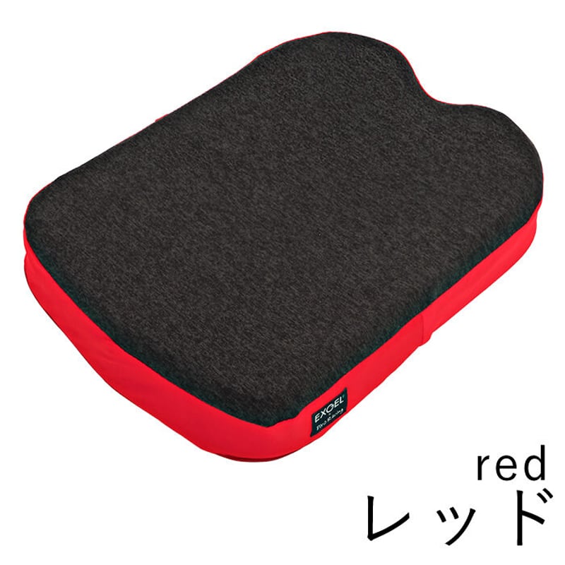車椅子用クッション 本体】 エクスジェル×ピロレーシング 車椅子