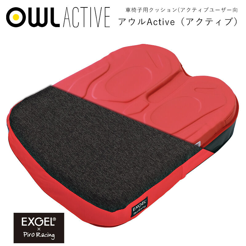 車椅子用クッション 本体】 エクスジェル×ピロレーシング 車椅子
