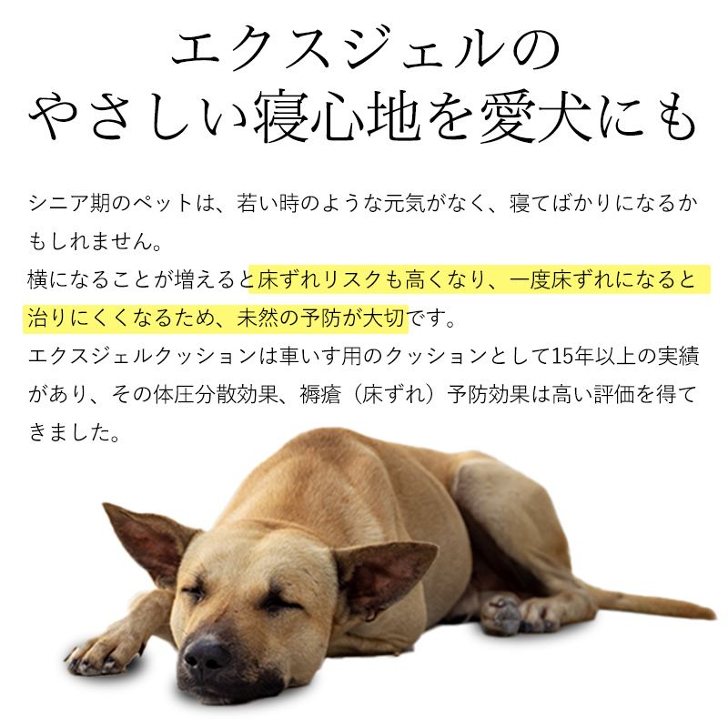 床ずれ防止マットM エクスジェルマット　カバー付き 楽天市場】エクスジェルマット M 50×60cm 犬 介護ベッド シニア