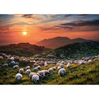 29977 Ed. Humboldt : Sheep and Volcanoes