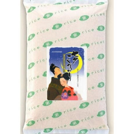 佐賀県産 七夕こしひかり　2㎏　令和8年産