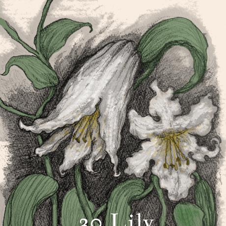 LENORMAND CARD DECK BY KIBI
