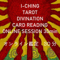 個人鑑定チケット【30分】
