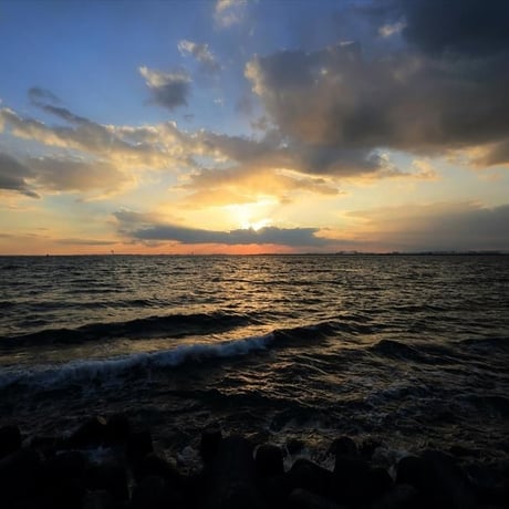 TOKYO BAY（野寺治孝 写真集）