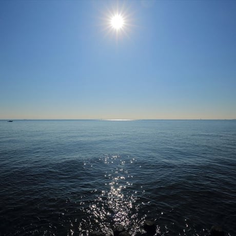TOKYO BAY（野寺治孝 写真集）