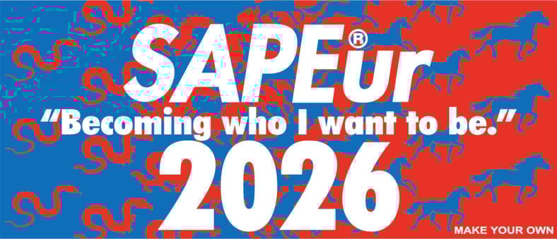 SAPEur SAPEur サプール 公式衣装ケースコンテナ 超希少