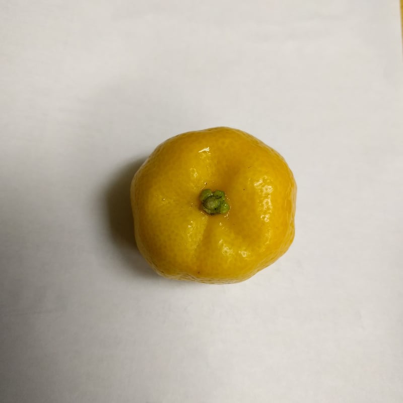 お値下げ☆美品☆ 1点物 橘台 博多織 OKANO 鼻緒 下駄 黄緑色 飛田柑橘園の季彩オイル《橘》 内容量90g | 飛田柑橘園 柑橘 と