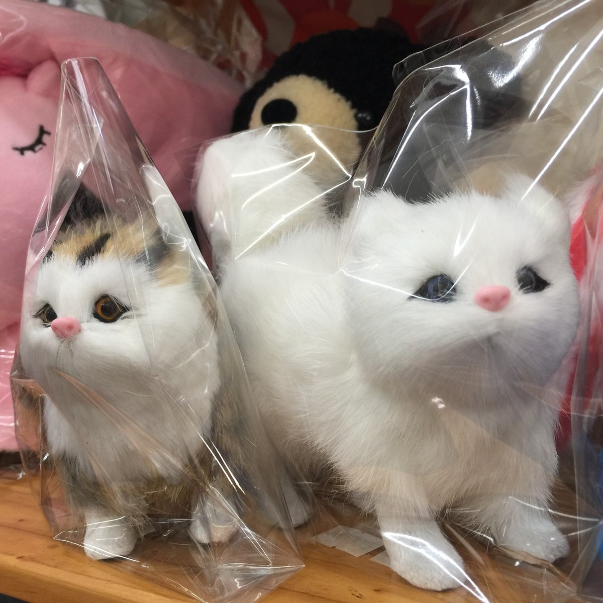 猫ちゃん　珍しい猫ちゃん置物可愛い! Amazon.co.jp: JAnjiaLxY セラミックねこの置物 かわいい ネコ