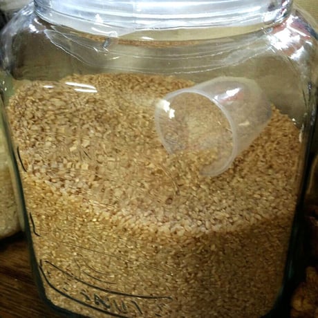 ピーナッツジャー　7L　GLASS COOKIE JAR