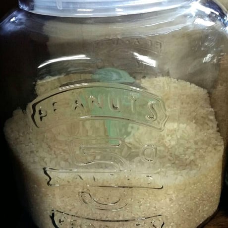 ピーナッツジャー　7L　GLASS COOKIE JAR