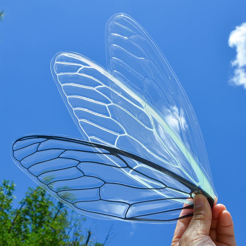 せみうちわ 透明 Cicada Fan clear | oodesign shop