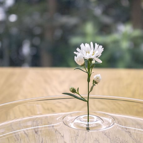 Floating Vase / RIPPLE