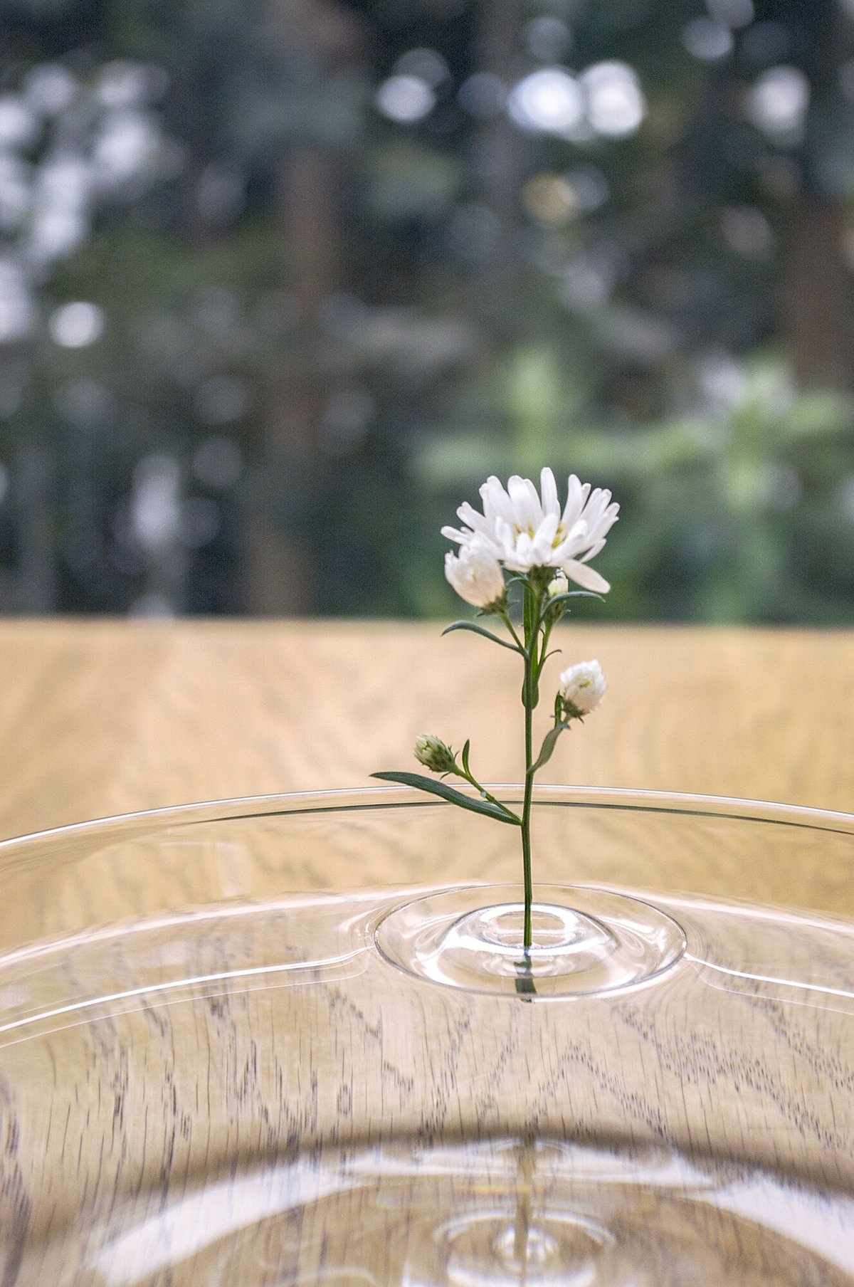 Floating Vase / RIPPLE | oodesign shop