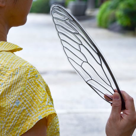 せみうちわ 黒  Cicada Fan black