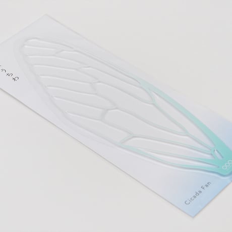 せみうちわ 羽化  Cicada Fan eclosion