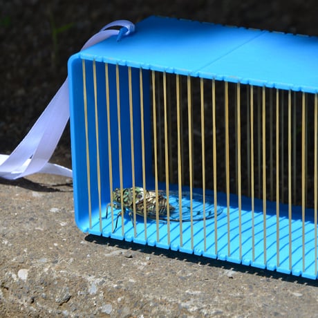 輪ゴムの虫かご rubber band insect cage