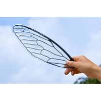 せみうちわ 黒  Cicada Fan black