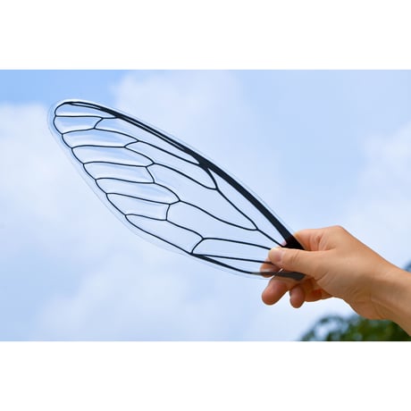 せみうちわ | STORES