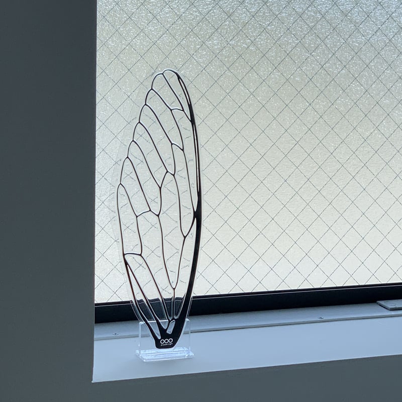 せみうちわスタンド 白黒 Cicada Fan Stand black or white |