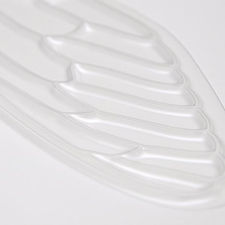 せみうちわ 透明 Cicada Fan clear