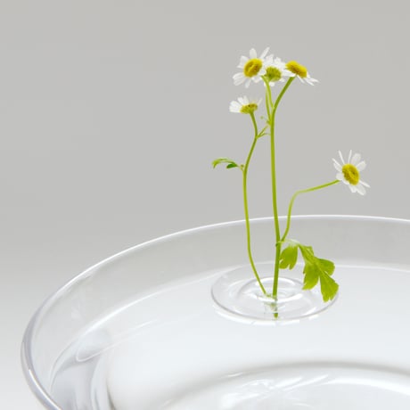 Floating Vase / RIPPLE