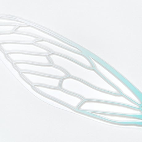 せみうちわ 羽化  Cicada Fan eclosion