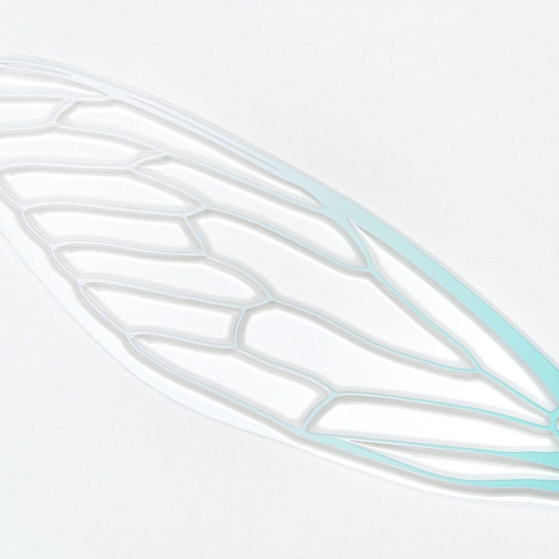 せみうちわ 羽化 Cicada Fan eclosion | oodesign shop