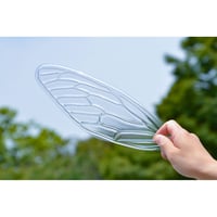 せみうちわ 透明 Cicada Fan clear