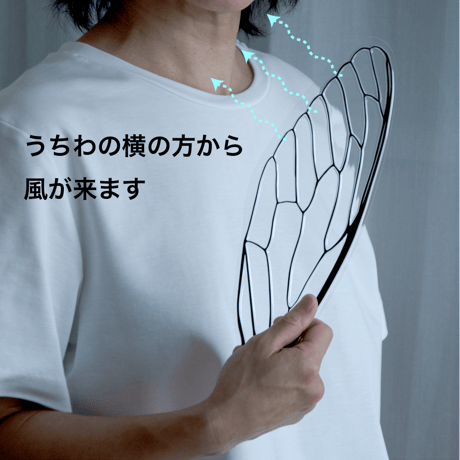 せみうちわ 透明 Cicada Fan clear