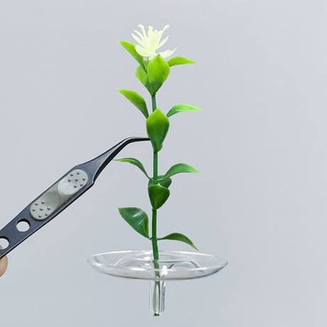 Floating Vase テスト用造花