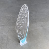 せみうちわスタンド 白黒 Cicada Fan Stand black or white