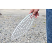 【わけあり】せみうちわ 羽化